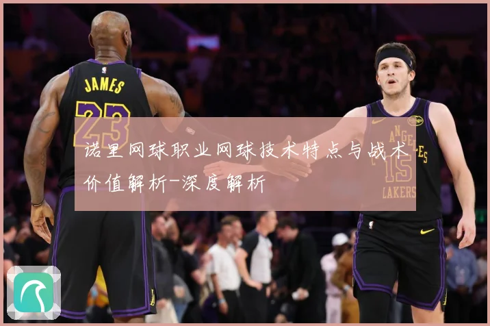 诺里网球职业网球技术特点与战术价值解析-深度解析