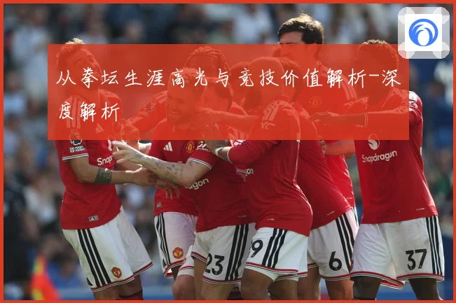 从拳坛生涯高光与竞技价值解析-深度解析