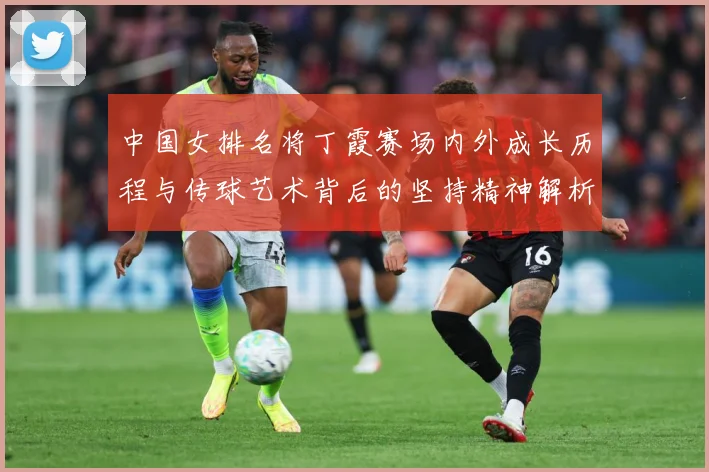 中国女排名将丁霞赛场内外成长历程与传球艺术背后的坚持精神解析-深度解析